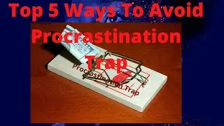 Top 5 Ways To Avoid Procrastination Trap