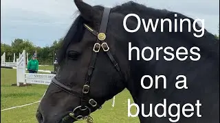 How to own a horse on a budget | how to save money owning a horse | budget horse tips