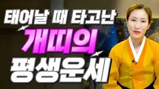 [개띠 운세] 태어난 월로 보는 개띠 평생운 대공개! 2026년 개띠에게 찾아오는 인생 기회 총정리