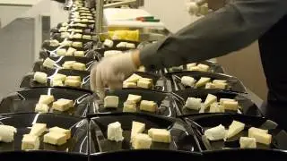 Analisi Sensoriale - degustazione di 4 formaggi