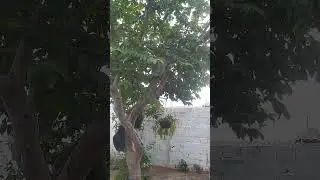 s&aacute;bado de chuva em Teresina Piau&iacute;