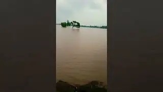 #ghagar river tut gyi bansudhar(sirsa) #kissanstatus #flood