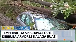 Temporal em SP: Chuva forte derruba &aacute;rvores e alaga ruas | Bora Brasil