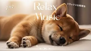 天使の寝顔｜Adorable Sleeping Puppies will melt your heart