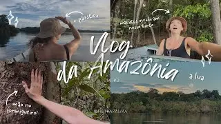 vlog de viagem Amazonas #3: mão no formigueiro + trilha na selva + sumaúma + macacos no barco!
