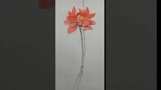 簡約中的優雅綻放