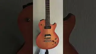 Two Les Paul's with a Gary Moore connection. Which is your favourite? #garymoore #lespaul #gibson