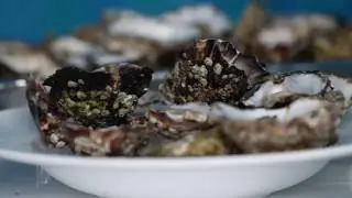 Portavogie Seafood Festival