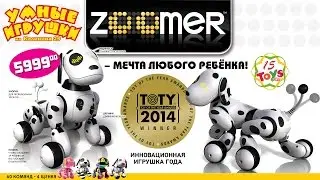 Интерактивный Щенок ZOOMER Зумер (64 команды на русском) на 15 Toys.RU