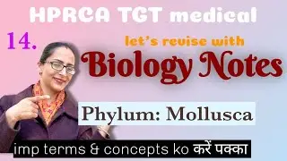phylum mollusca || characters classification|| HPRCA TGT medical nvs kvs PGT biology 