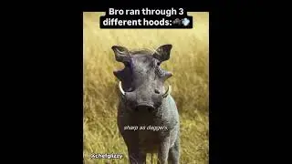 This chess not checkers&hellip;🗣️💯 #shorts  #jokes #viral