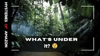 Top 5 Shocking Mysteries Of Amazon Forest😱|| Unseen Creatures Of Amazon | Hindi