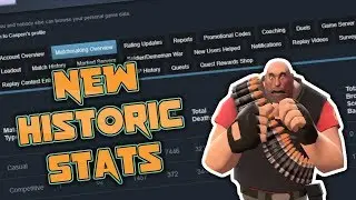 TF2: TONS of Personal Stats Made Available (Steam Privacy Update)