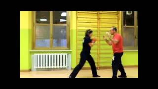 integrated defence system  jeet kune do 15 counts