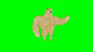 Green screen Doge
