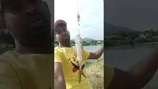 Big King Size Rohu Fish || Amazing Bait with Rod Catch Rohu || monster Rohu Fish @ Catch monster....