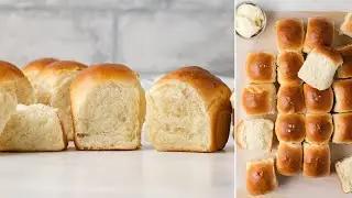 Easy Homemade Dinner Rolls