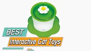 Top 5 Best Interactive Cat Toys Review in 2023