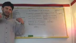 Georg Simmel: El individuo y la sociedad