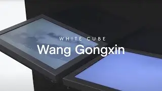 Conversations: Wang Gongxin and Yang Beichen | White Cube
