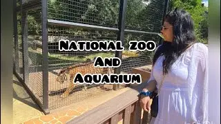 Australia national zoo in Canberra #zoo tour