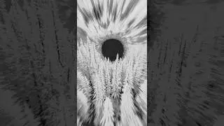 echoes of the shadow archetype / 2