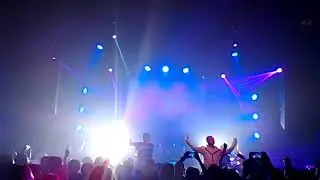 Purpose Tiger Clan - Tiger Clan