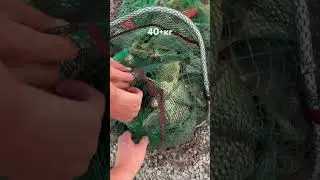Трудовая рыбалка!🔥(часть 1) #fishing #rfish #tashkent #uzbekistan