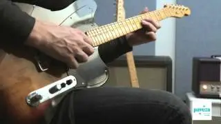 Paveza Telemaster