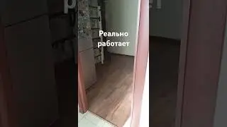 1 сентября 2024 г.