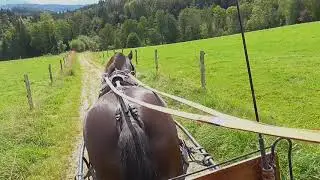 Ausfahrt mit Sancho nach Maria Tann am 25 08 2020