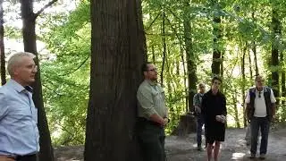 F&uuml;hrung durch den W&auml;chtersbacher Schlosspark/Stadtwald mit den Experten von Hessenforst