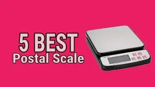 5 Best Postal Scale