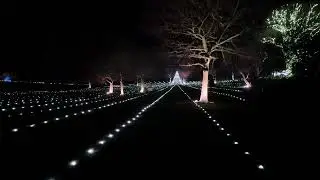 Blenheim Palace Christmas Light Trail 2025