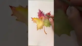 Drawing maple leaf. How to draw maple leaf. Art lessons. Autumn maple leaf watercolor.