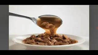 Felix cat food adverts voice over 