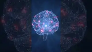 Nervous system complexity... should we try to control it?