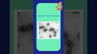 Name That Particle! #shorts