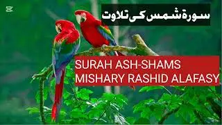 Surah Ash shams ki tilawat/Most Beautiful Recitation of Surah Shams/Full Surah Shams/