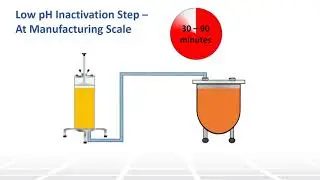 Introduction to Viral Safety Part 4 - Two Minute Tuesday Technical Training
