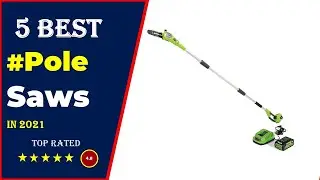 ✅ Top 5: Best Pole Saw For The Money 2021 [Tested & Reviewed]