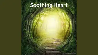 Heartwarming Experiences