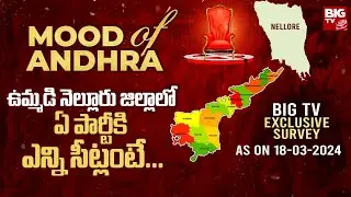 BIG TV Exclusive Survey On Nellore District | Mood Of Andhra | Andhra Pradesh Election 2024 | BIG TV