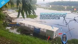 LUNGLEP, Begitulah Sambaran Ikan di Spot Ini!!! - Mancing Saguling 2025&nbsp;#77