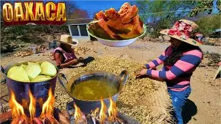 Usos que se le Dan a la Calabaza y su Semilla en OAXACA