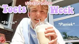 stressen voor de TOETSWEEK *leertips, motivatie en chaos*