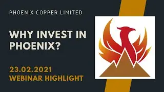 Why Invest in Phoenix (23.02.2021 Webinar Highlight)