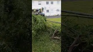 wood chipper smashing back bamboo with ease #arborist #treeservice #woodchipper #hansa c60
