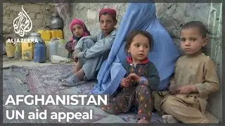 UN's Afghanistan aid appeal is largest ever for single country