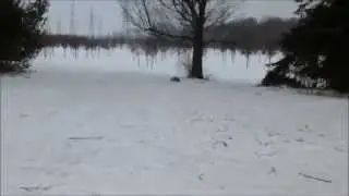 Traxxas Slash first run
